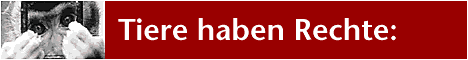 tierrechte.de